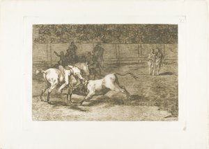 Mariano Ceballos, alias Indián, zabije býka ze svého koně, deska 23 z The Art of Bullfighting od Francisco Jose de Goya y Lucientes