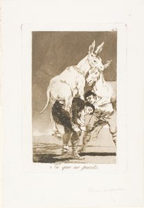 Thou Who Canst Not, deska 42 z Los Caprichos od Francisco Jose de Goya y Lucientes