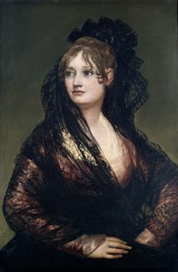 Neznámý obrázek od Francisco de Goya