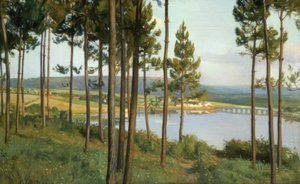 Ria del Burgo-Oil/Plátno