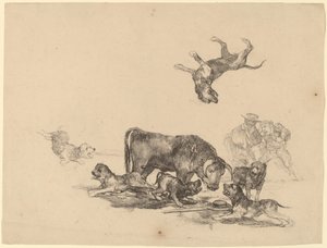 Býk napadený psy od Francisco de Goya