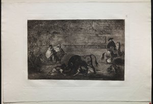 Býčí zápasy: Vypuštěný pes na býka od Francisco de Goya