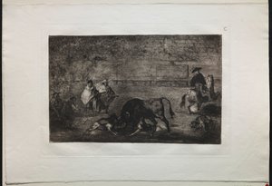 Býčí zápasy: Vypuštěný pes na býka, 1876. od Francisco de Goya