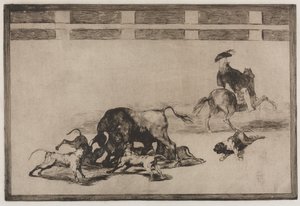 Býčí zápasy: Loose Dogs on the Bull, 1876. od Francisco de Goya