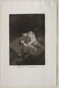 Caprices: Kdo by si to pomyslel! od Francisco de Goya