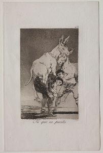 Caprichos: Ty, který nemůžeš od Francisco de Goya