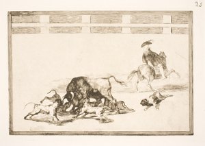 Leští psy na býka od Francisco de Goya