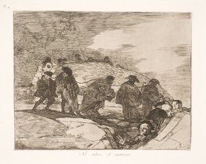 Nevědí kde (70) od Francisco de Goya