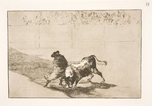 Velmi talentovaný student z Falces, zahalený v plášti, oklame býka pohyby svého těla od Francisco de Goya