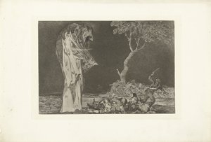 Pošetilost strachu Nesourodé de miedo Los Disparates (The follies) (název série) Los Proverbios (The Proverbs) (název série) od Francisco de Goya
