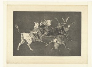 Bláznovství malých býků Nesourodé de tontos Los Disparates (The follies) (název série) Los Proverbios (The Proverbs) (název série) od Francisco de Goya