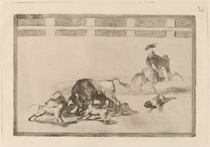 Echan perros al toro (Vypouštějí psy na býka) od Francisco de Goya