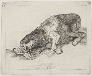 Divoké monstrum (81) od Francisco de Goya