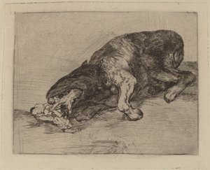 Divoké monstrum! (Divné monstrum!) od Francisco de Goya