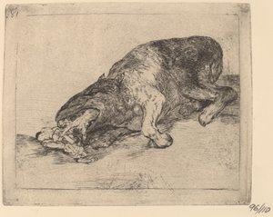 Divoké monstrum! (Divné monstrum!) od Francisco de Goya