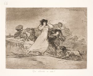 Co tento zmatek znamená? (65) od Francisco de Goya