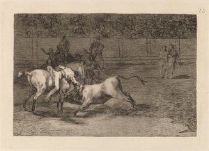 Mariano Ceballos, alias Indián, zabije býka ze svého koně (Mariano Ceballos, Alias ​​​​The Indian, Kills the Bull from His Horse) od Francisco de Goya