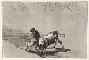 Chytrý student Falces rozzuří býka tím, že se pohybuje zabalený v jeho plášti, 1814-16 od Francisco de Goya