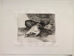 The Horrors of War: Něco z toho má... od Francisco de Goya
