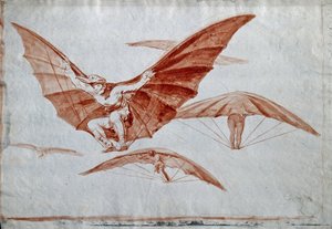Způsoby létání, 1816 od Francisco de Goya