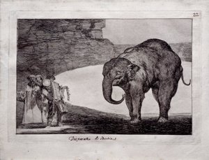 Animal Folly od Francisco de Goya