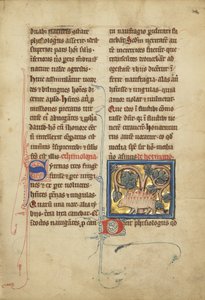 Ježek z bestiáře paní Ludwig XV 4, fol. 82, c.1280-1300 (tempera, pero a inkoust, plátkové zlato a barva na pergamenu) od Franco Flemish School