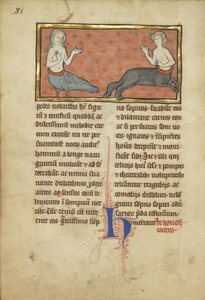 Siréna a kentaur z bestiáře paní Ludwig XV 4, fol. 81v, c.1280-1300 (tempera, pero a inkoust, plátkové zlato a barva na pergamenu)