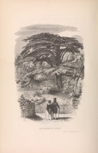 Botanická zahrada, popisy a způsoby savců, 1842.