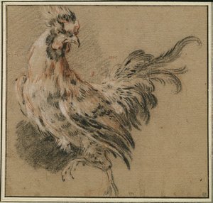 Studie kohouta od François Boucher