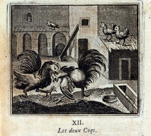 Oba kohouti. Bajky Jean de La Fontaine (1621-95). Ilustrace François Chauveau (1613-1676). Vydání z roku 1728. od Francois Chauveau