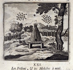 Sršni a medové mušky. Bajky Jean de La Fontaine (1621-95). Ilustrace Francois Chauveau (1613-1676). Vydání z roku 1728. od Francois Chauveau