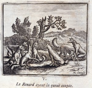 Ilustrace z 