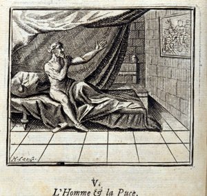 The Man and the Flea.Bajky Jean de La Fontaine (1621-95). Ilustrace Francois Chauveau (1613-1676). Vydání z roku 1728. od Francois Chauveau