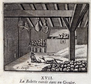 La Weasette vstoupil do Grenieru. Bajky Jean de La Fontaine (1621-95). Ilustrace François Chauveau (1613-1676). Vydání z roku 1728. od Francois Chauveau
