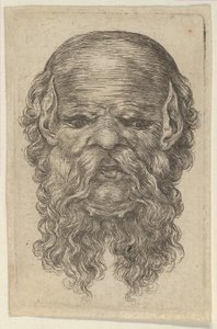 Maska plešatého muže se špičatýma ušima a dlouhým, roztřepeným plnovousem, od Divers Masques, ca. 1635-45. od Francois Chauveau
