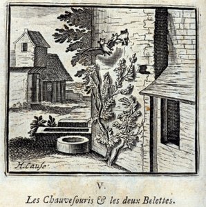 Netopýr a dvě lasičky. Bajky Jean de La Fontaine (1621-95). Ilustrace François Chauveau (1613-1676). Vydání z roku 1728. od Francois Chauveau