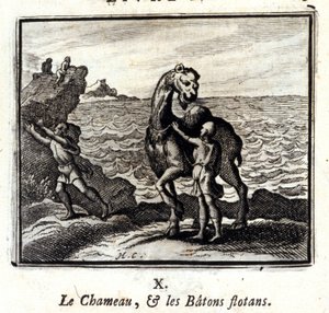 Velbloud a plovoucí hole. Bajky Jean de La Fontaine (1621-95). Ilustrace François Chauveau (1613-1676). Vydání z roku 1728. od Francois Chauveau