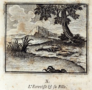 Crevisse a jeho dcera. Bajky Jean de La Fontaine (1621-95). Ilustrace François Chauveau (1613-1676). Vydání z roku 1728. od Francois Chauveau