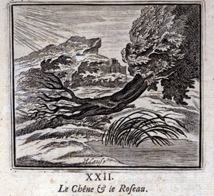 Dub a rákos. Bajky Jean de La Fontaine (1621-95). Ilustrace François Chauveau (1613-1676). Vydání z roku 1728. od Francois Chauveau
