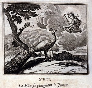 Páv si stěžuje Junonovi. Bajky by Jean de La Fontaine (1621-95). Ilustrace François Chauveau (1613-1676). Vydání z roku 1728. od Francois Chauveau