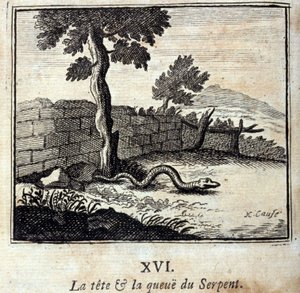 Hlava a ocas hada. Bajky od Jeana de La Fontaine (1621-95). Ilustrace François Chauveau (1613-1676). Vydání z roku 1728. od Francois Chauveau