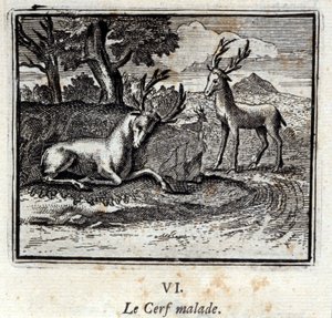 Nemocný jelen. Bajky Jean de La Fontaine (1621-95). Ilustrace François Chauveau (1613-1676). Vydání z roku 1728. od Francois Chauveau