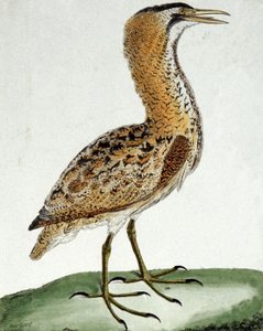 Závěsný od Francois Nicolas Martinet