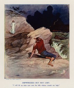 Ztroskotal, ale neztratil se (barevná litografie)