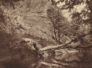 Břeh řeky, c. 1855.