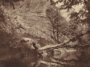 Riverbank,c. 1855 (foto)