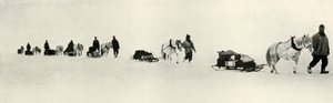 Poníci v březnu 1911, 1913 od Frank Debenham