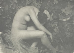 Cikáda, 1898.
