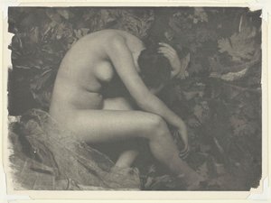 Cikáda, 1898.
