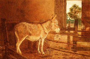 Hnědá studie od Frank Goodwin